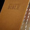 Jeruzalémská bible má nové webové stránky